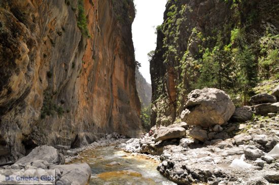 Samaria